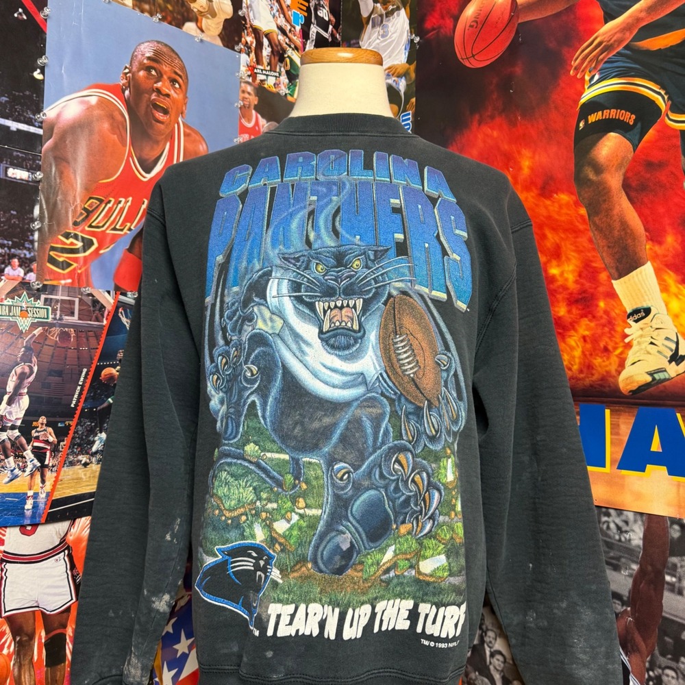 Vintage 90s Carolina Panthers Salem Sportswear‎ NFL Sweatshirt Sz Large